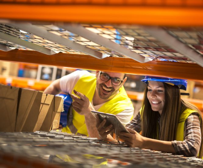 Warehouse workers counting boxes on shelves in large distribution warehouse.